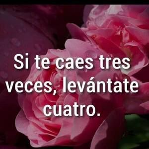 Meet your Posher, Homero